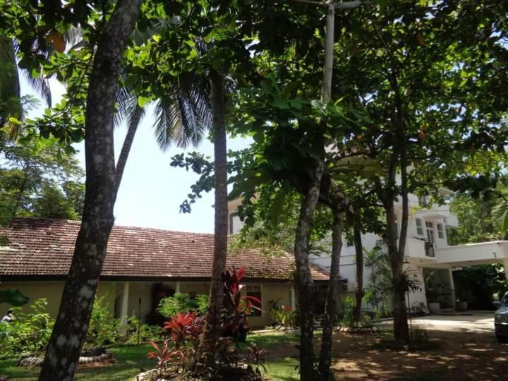 Nooit Gedacht Holiday Resort Unawatuna Exterior foto