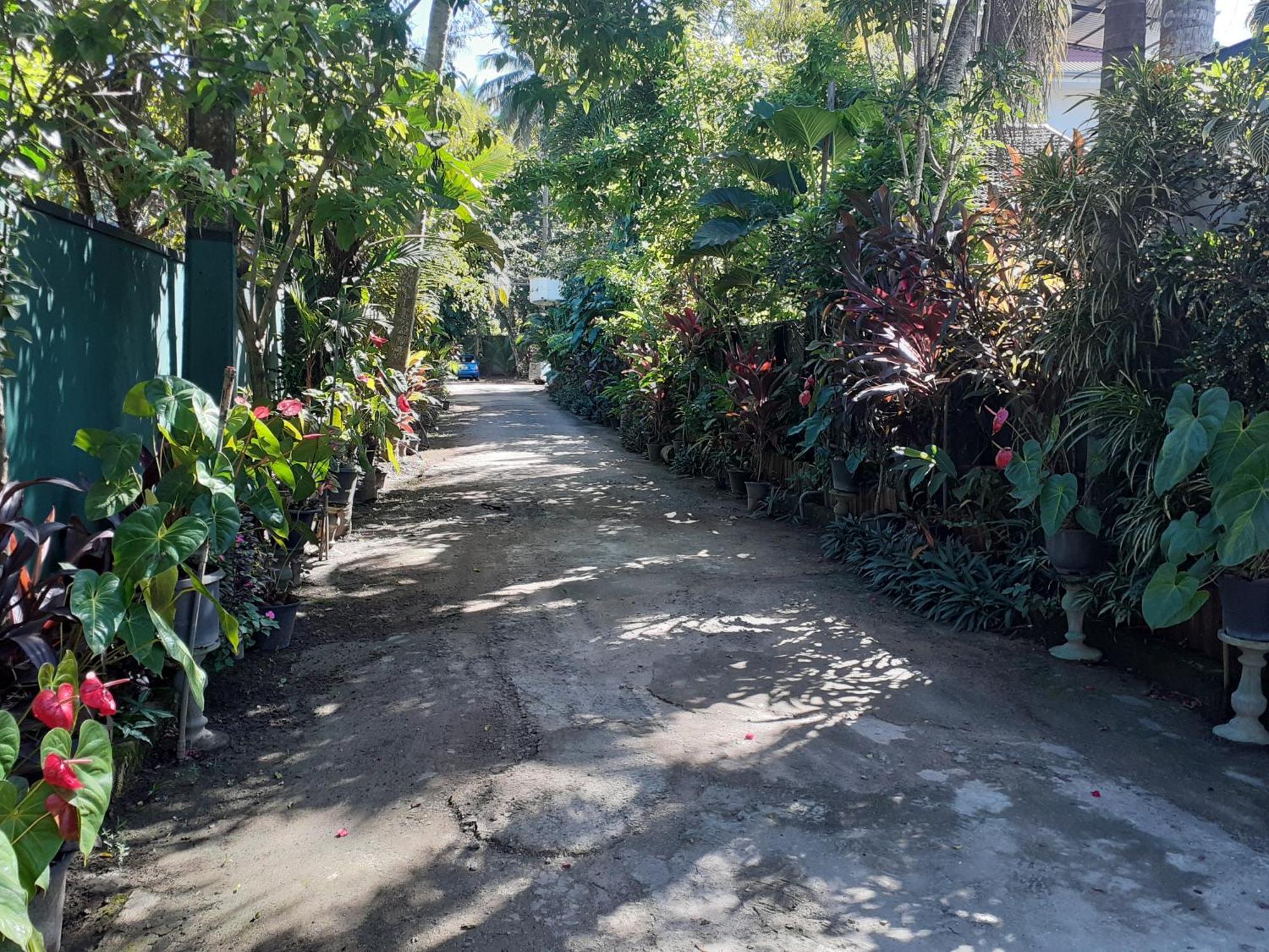 Nooit Gedacht Holiday Resort Unawatuna Exterior foto