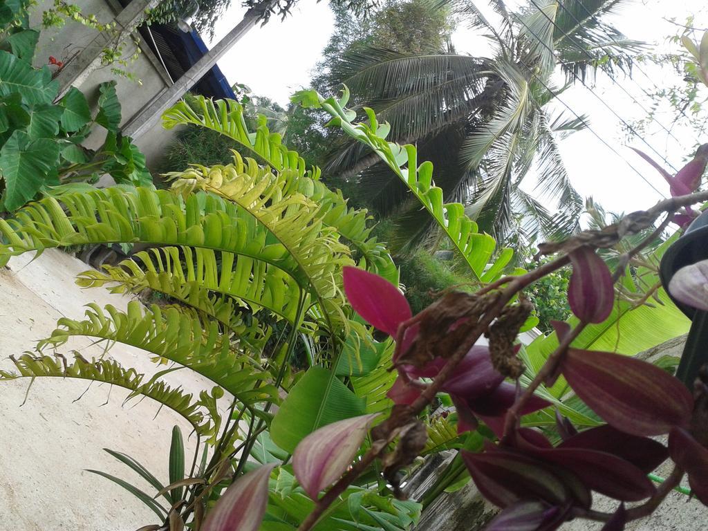 Nooit Gedacht Holiday Resort Unawatuna Exterior foto