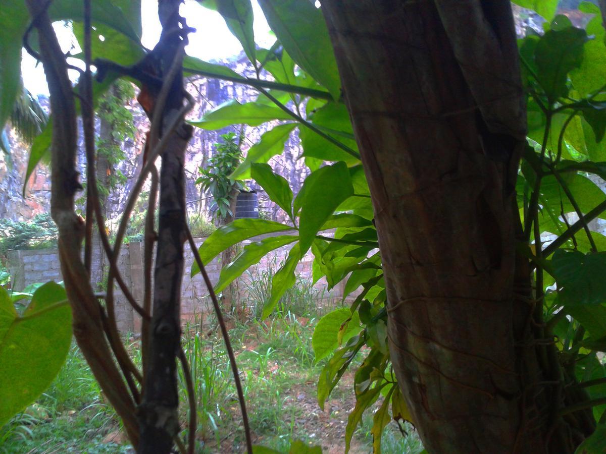 Nooit Gedacht Holiday Resort Unawatuna Exterior foto