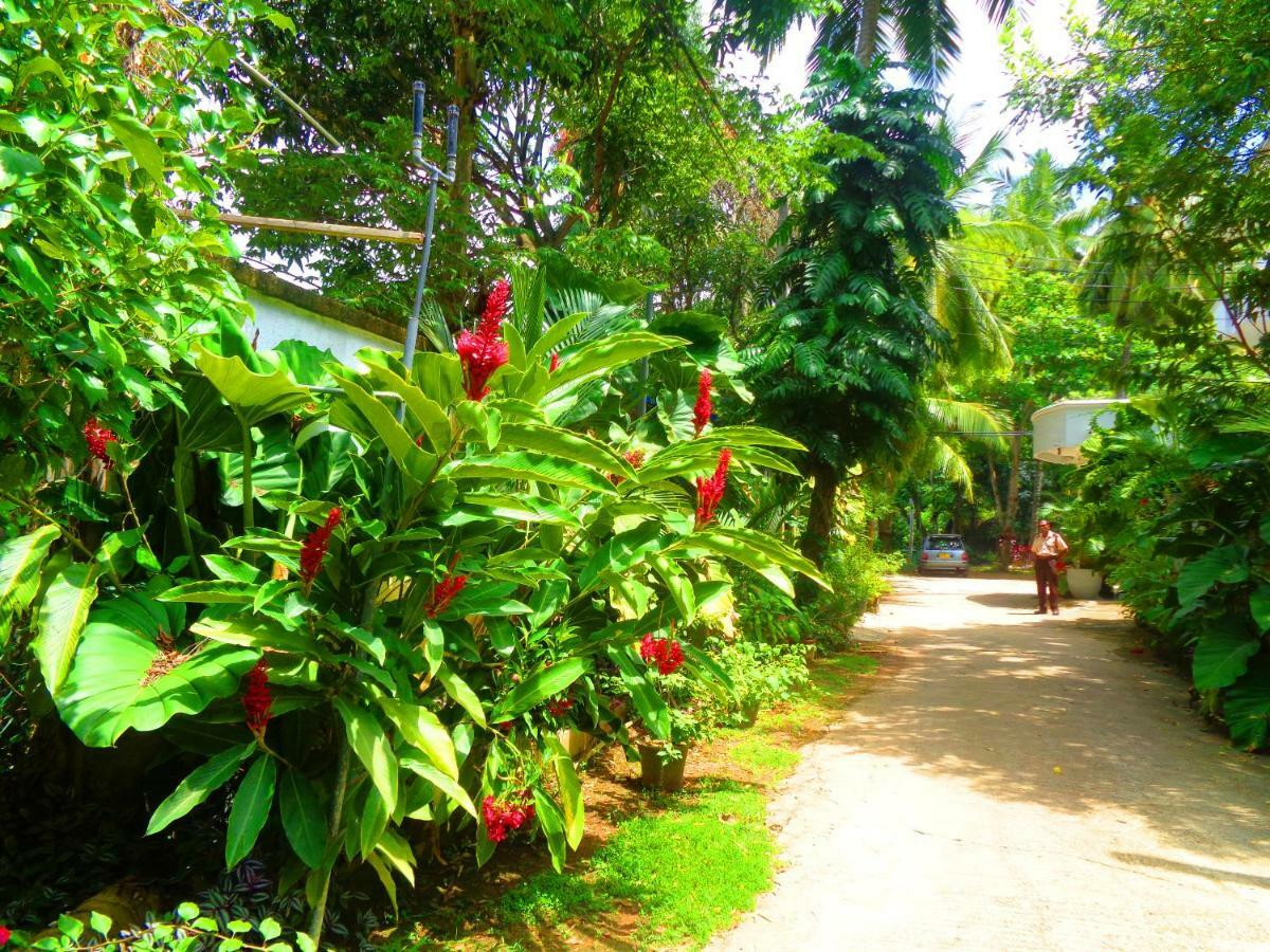Nooit Gedacht Holiday Resort Unawatuna Exterior foto