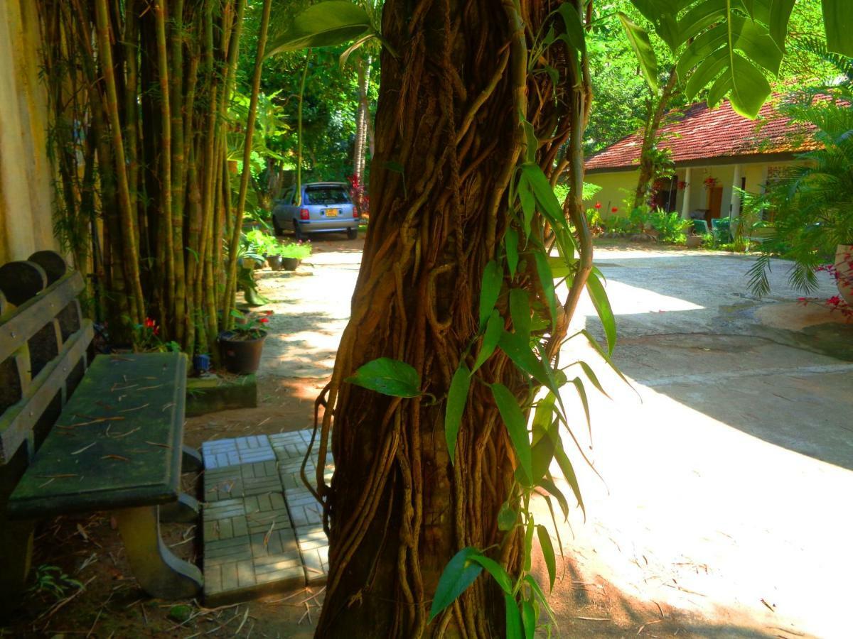 Nooit Gedacht Holiday Resort Unawatuna Exterior foto